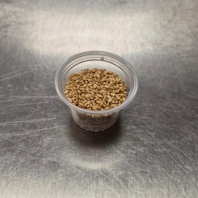 Sesame Seeds (小芝麻粒).